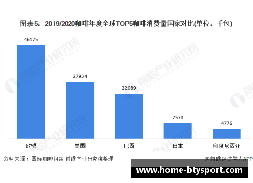 瑞典球员市场价值分析与趋势探讨